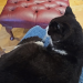 IMG-20240908-WA0001