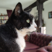 IMG-20240919-WA0001