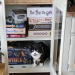 IMG-20240925-WA0000