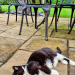 IMG-20241009-WA0002
