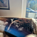 IMG-20241013-WA0001