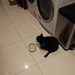 IMG-20241022-WA0004