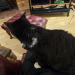 IMG-20241022-WA0007
