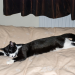 IMG-20241106-WA0004