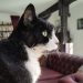 IMG-20241106-WA0005