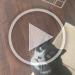 VID_20210422_185847