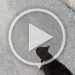 VID_20220428_074621